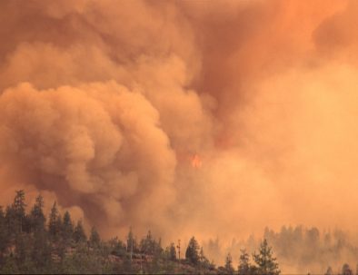 Wildfire response scene representing federal disaster logistics