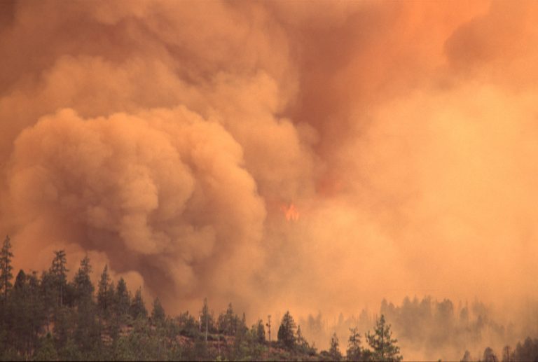 Wildfire response scene representing federal disaster logistics